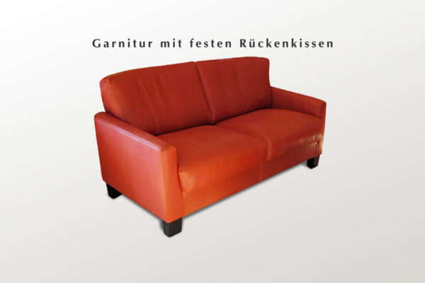 Garnitur in Leder mit Holzfüßen