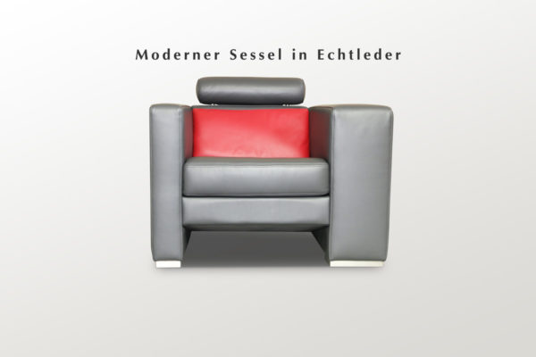 Echtledersessel Asymetrisch